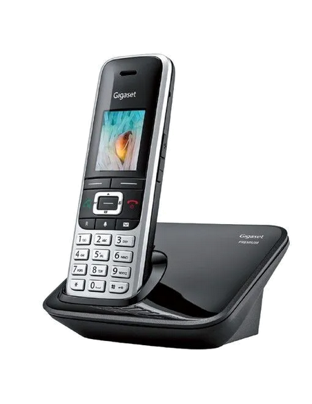 GIGASET PREMIUM 100