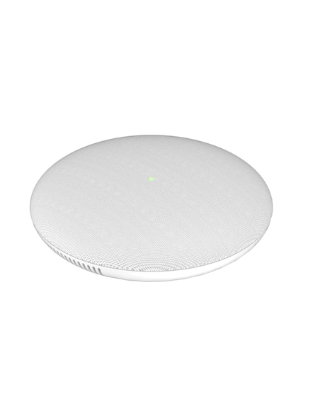 AR00096-GSC3505 Haut-parleur de sonorisation SIP à 1 voie
