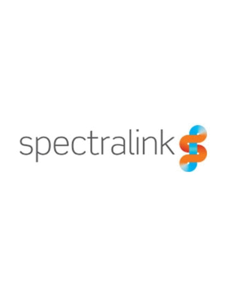 72685400  Support de gestion des combinés pour tous les combinés DECT de la série S
