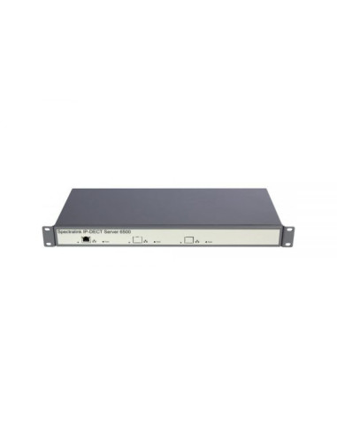 02351000   Ressource multimédia avec armoire rack pour serveur Spectralink IP-DECT 6500