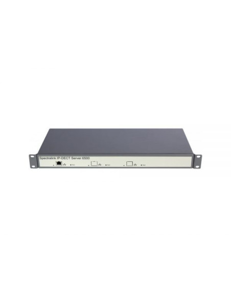 02351000   Ressource multimédia avec armoire rack pour serveur Spectralink IP-DECT 6500