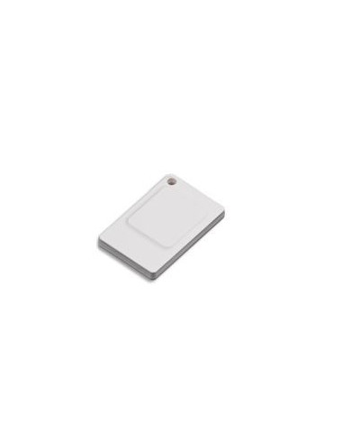 AR02273-IDP0231    Badge RFID  433 MHz, 58 x 38 x 5 mm